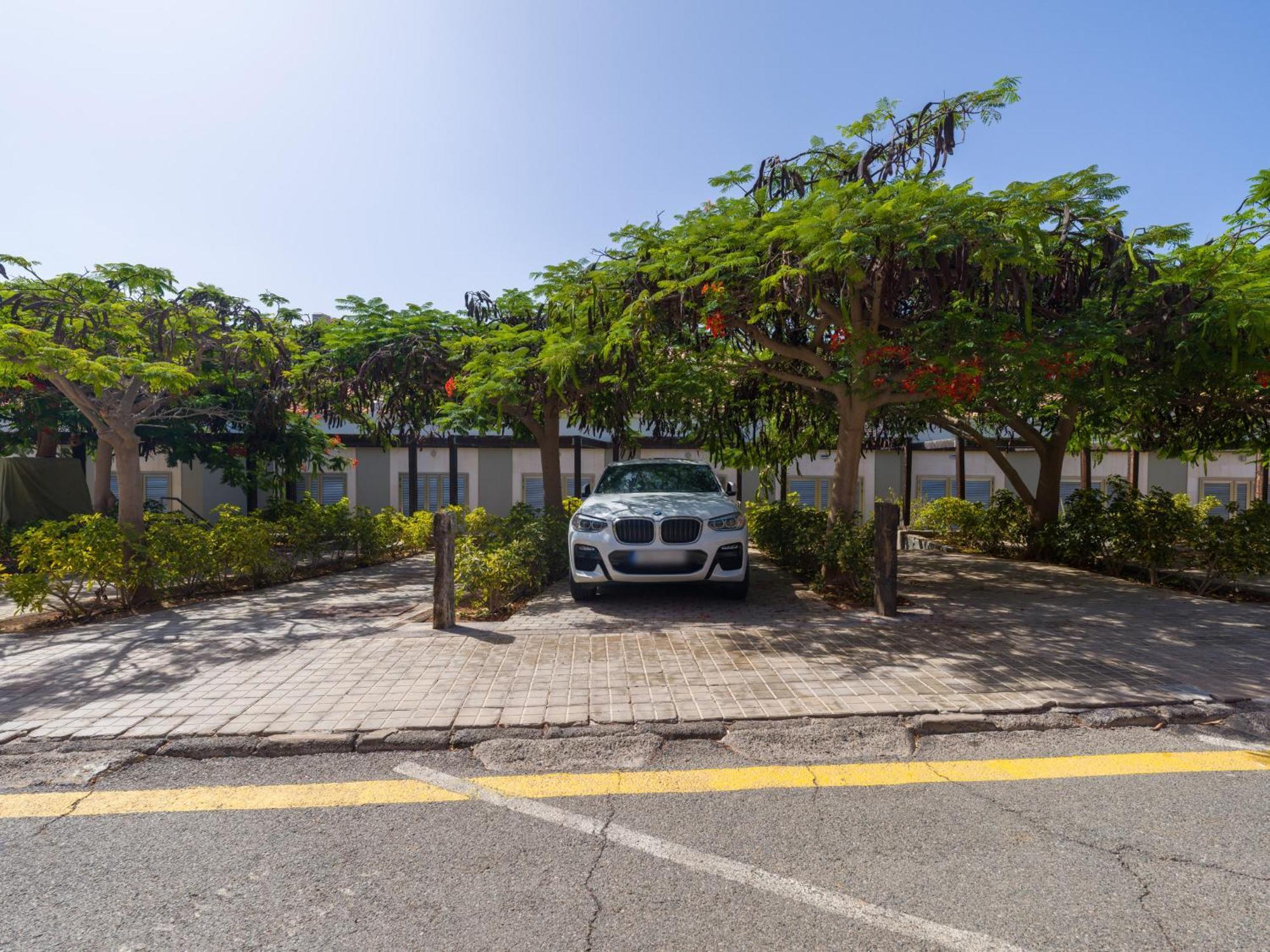 Blue Marlin Apartment - Gran Canaria Stays Pasito Blanco Kültér fotó